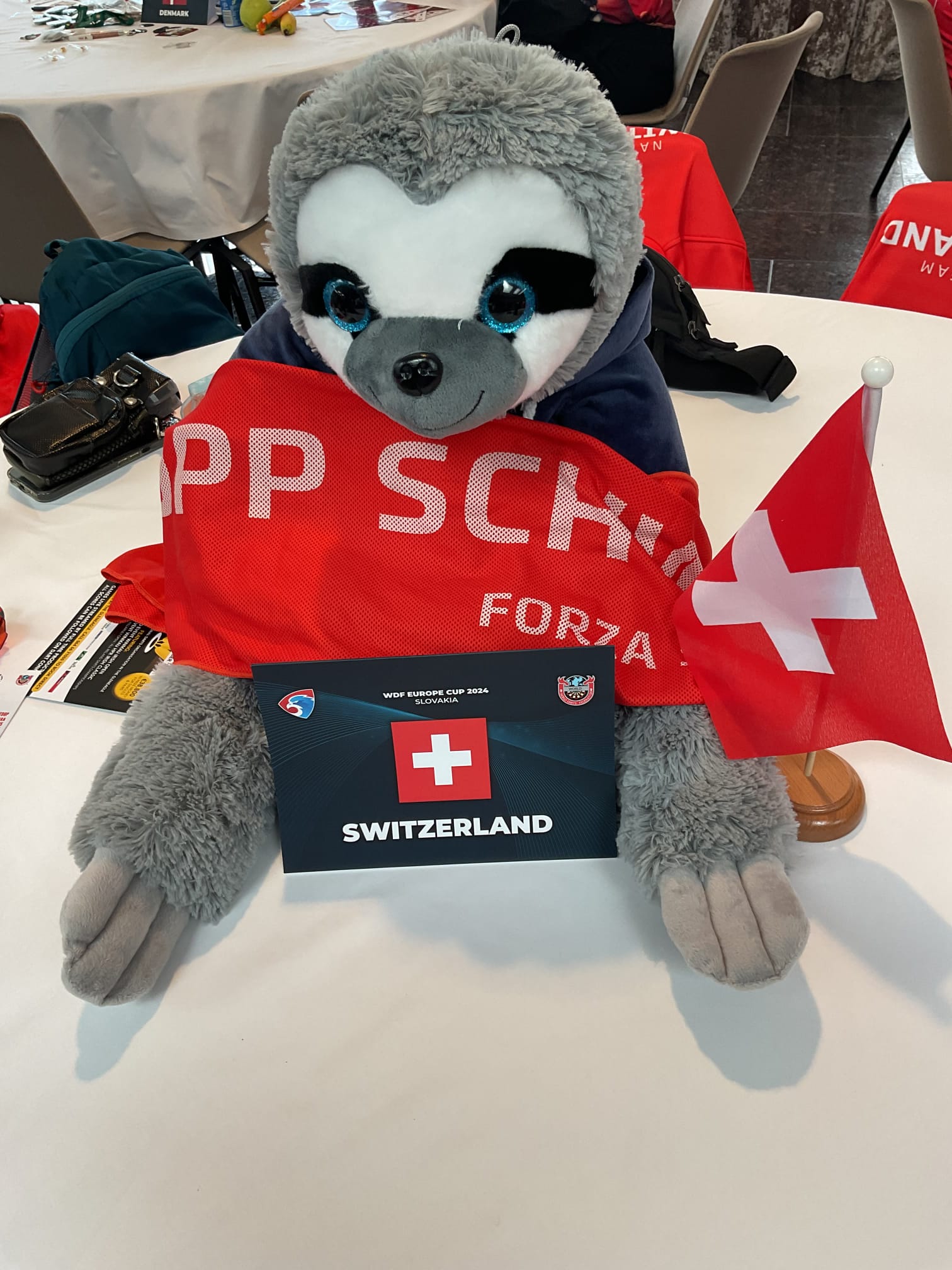 Team Switzerland's lucky charm at the WDF Europe Cup 2024 in Šamorín, Slovakia